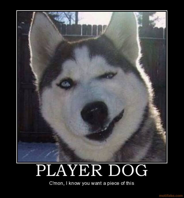 Dog demotivators and graphics