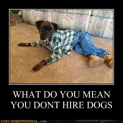 Dog demotivators and graphics