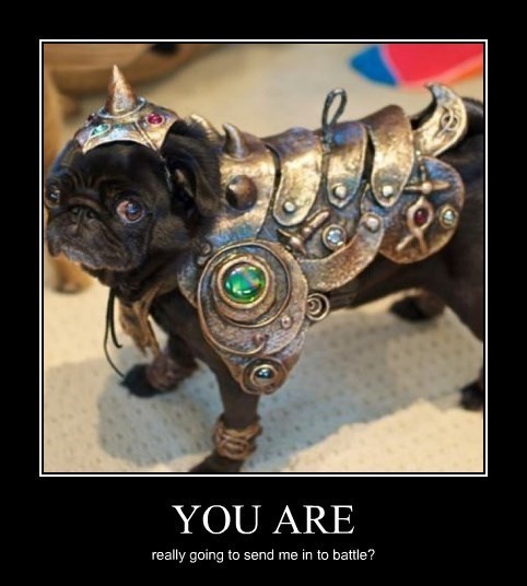 Dog demotivators and graphics