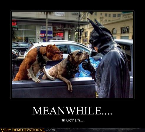 Dog demotivators and graphics