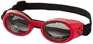 BEST SUNGLASSES FOR DOGS