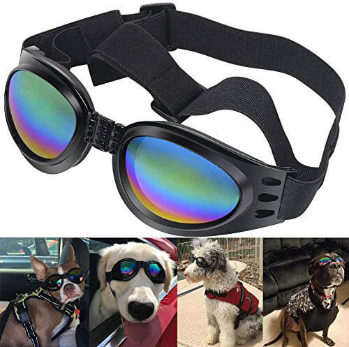 BEST SUNGLASSES FOR DOGS