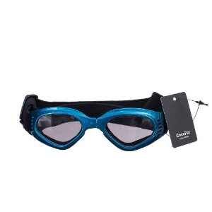 BEST SUNGLASSES FOR DOGS