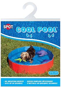 Dog Pools, Underwater Dogs and Puppies