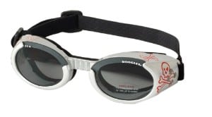 BEST SUNGLASSES FOR DOGS