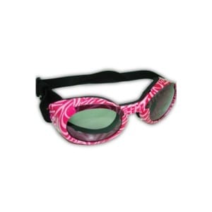 BEST SUNGLASSES FOR DOGS