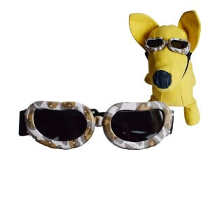 BEST SUNGLASSES FOR DOGS