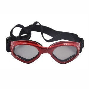 BEST SUNGLASSES FOR DOGS