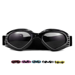 BEST SUNGLASSES FOR DOGS
