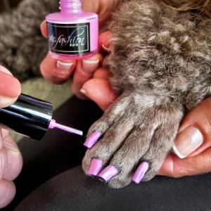 Dog Nail Fashion, Art