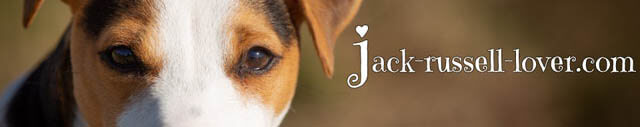 WWW.JACK-RUSSELL-LOVER.COM