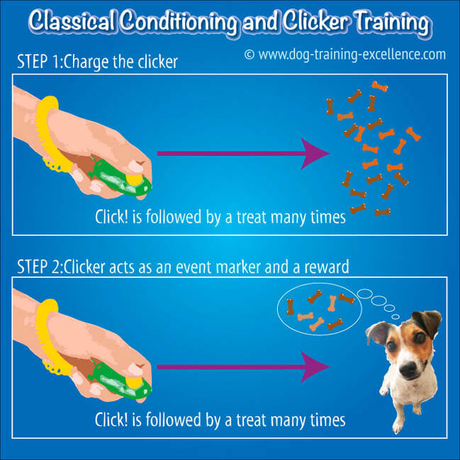 DOG CLICKER TRAINING BASICS INFOGRAPHIC