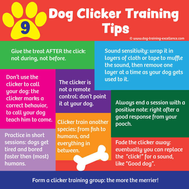 DOG BEHAVIORS THAT DEMAND CLICKER TRAINING