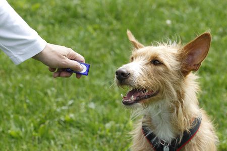 DOG CLICKER TRAINING METHOD