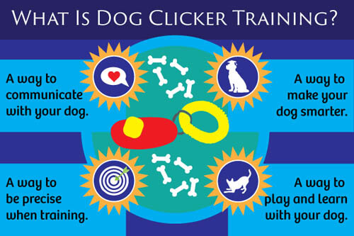 DOG CLICKER TRAINING METHOD