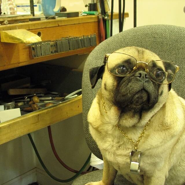 SunGlasses For Dogs