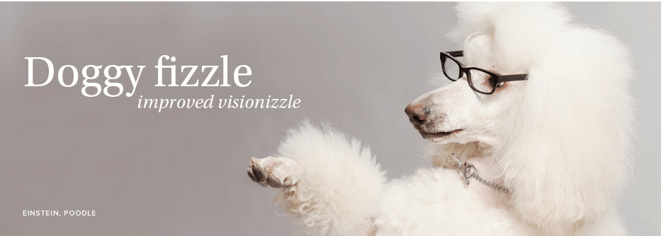 Glasses For Dogs