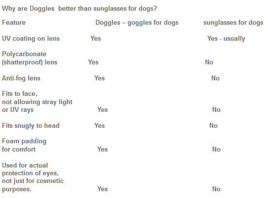 Glasses For Dogs