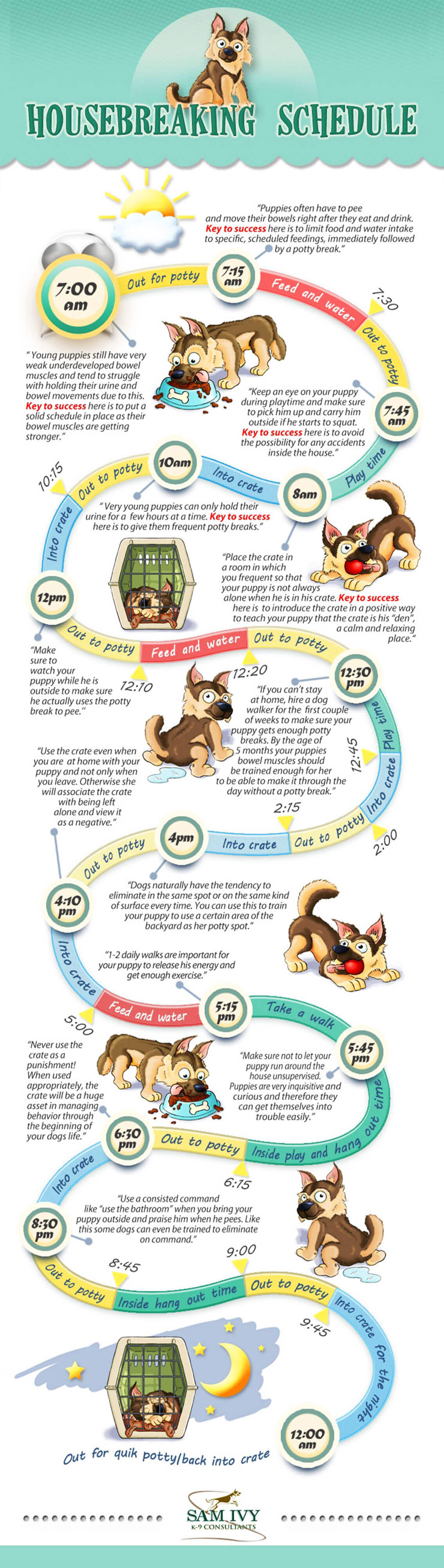 PUPPY TRAINING INFOGRAPHICS - PRESS TO DOWNLOAD !