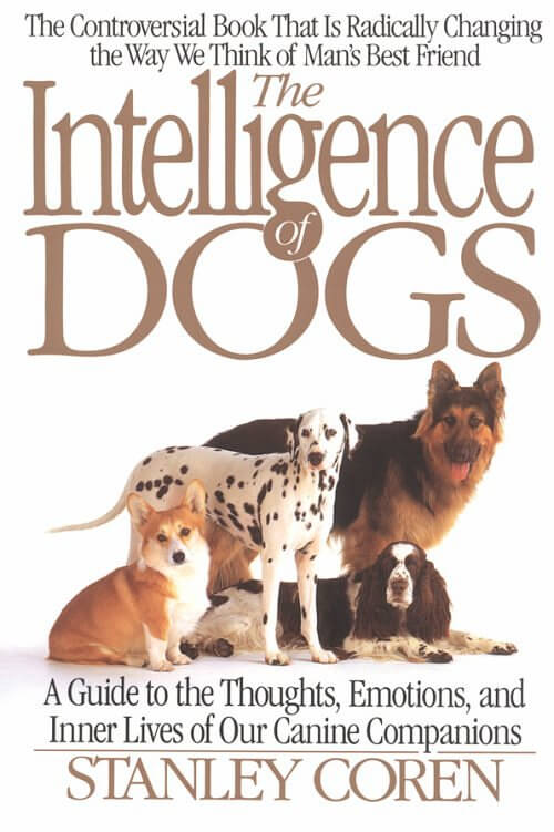 Dog Intelligence Test