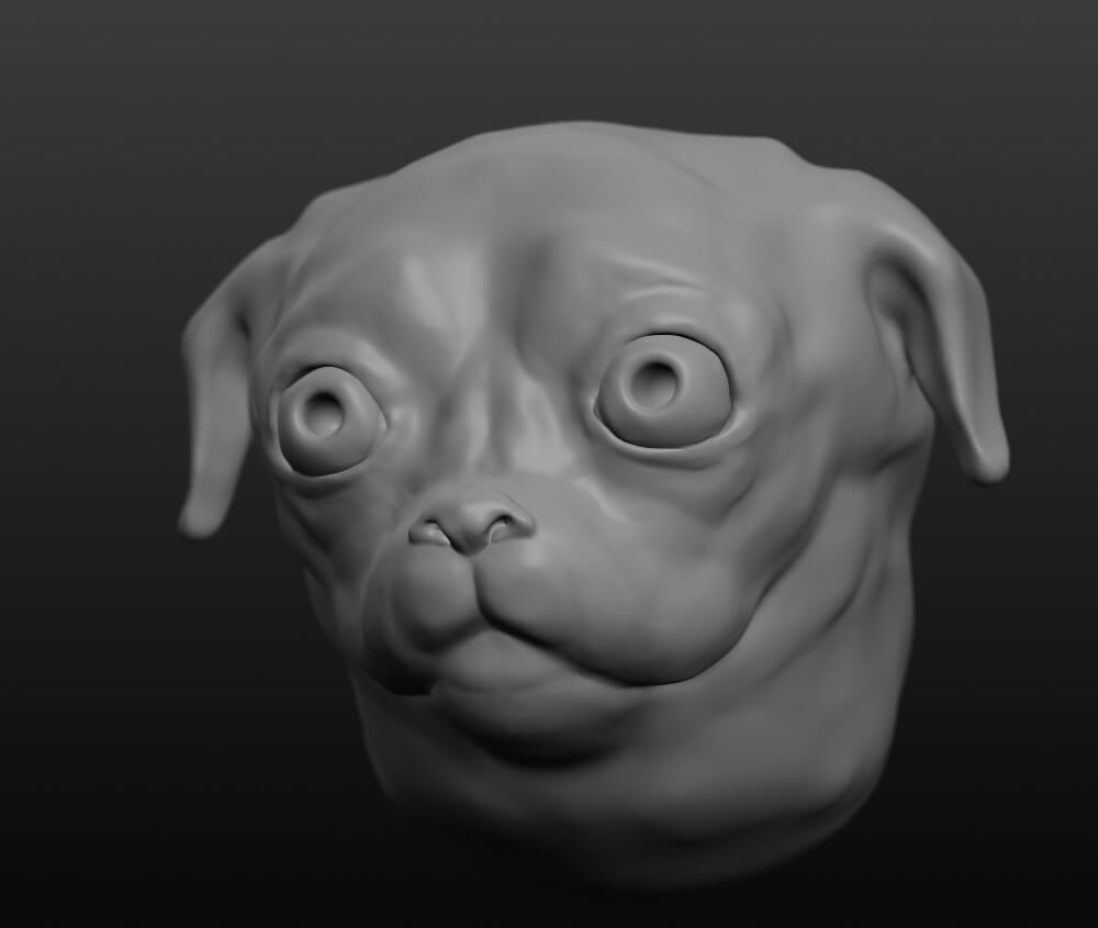 Dog Head Structure