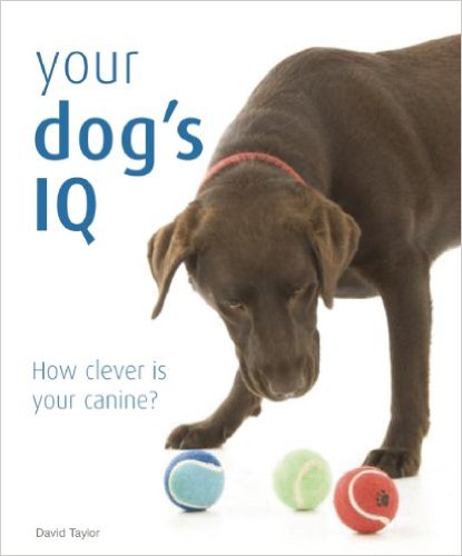 Dog Intelligence Test