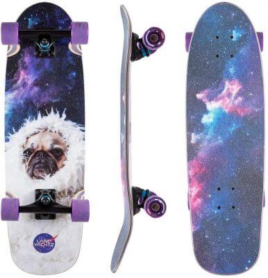 BEST SKATEBOARD FOR DOG