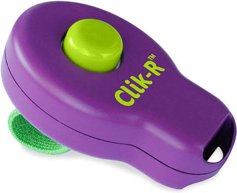 BEST CLICKERS FOR DOG TRAINING