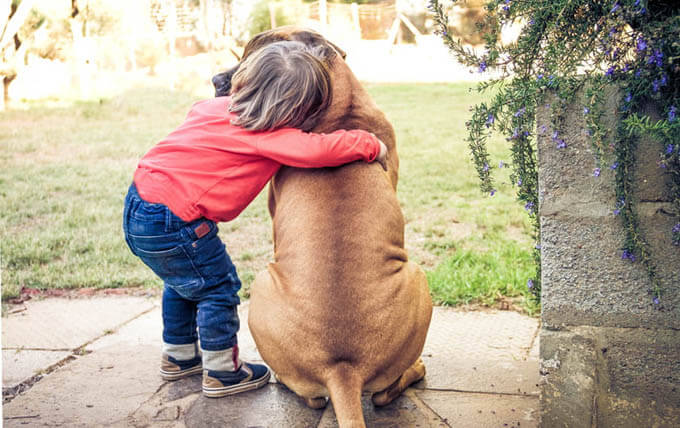 BEST GUARD DOG BREEDS FOR CHILDREN & KIDS