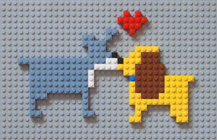 Dog and Puppy Lego, How to build, Buy Online, Best Dog Legos