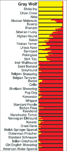 Dog Intelligence and Brain