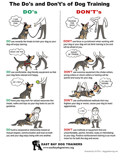 Dog Gestures, Dog Body Language