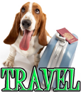 DOG TRAVEL - DOGICA®