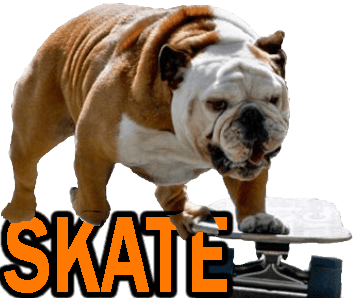 SKATEBOARDING DOGS - DOGICA®