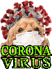 CORONOVIRUS & DOGS - DOGICA®