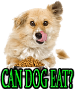 CAN MY DOG EAT IT?