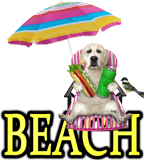 DOG-FRIENDLY BEACHES by TOWN  - DOGICA®