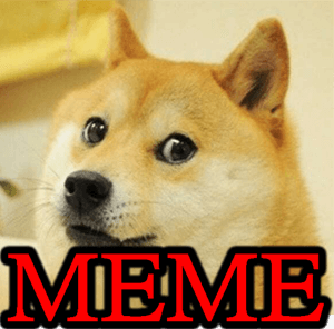 DOG MEMES