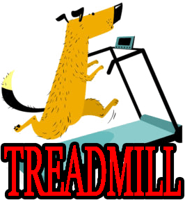 DOG TREADMILLS & TREADWHEELS