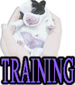 PUPPY TRAINING