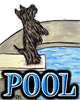 DOG POOL