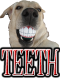 DOG TEETH