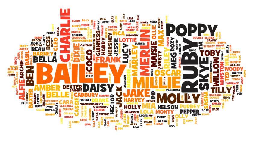 DOG PUPPY NAMES