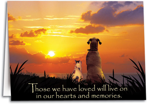 Dog Euthanasia, Dog R.I.P, How to deal with Pet Loss, Virtual Dog Memorials