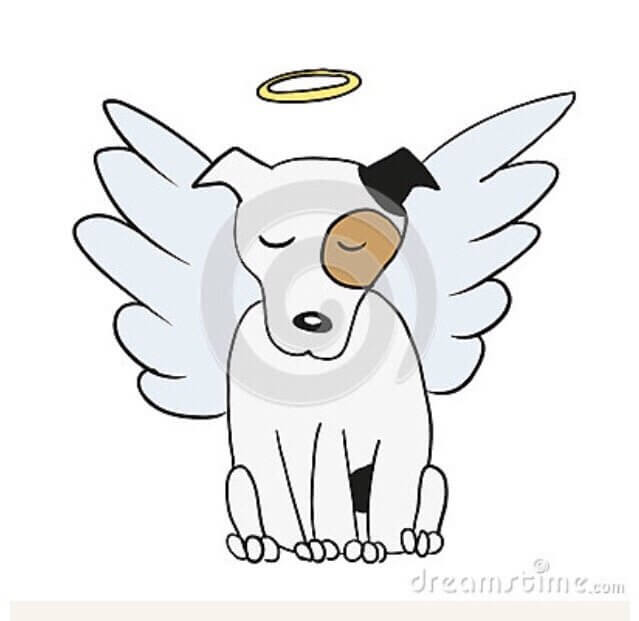 Dog Euthanasia, Dog R.I.P, How to deal with Pet Loss, Virtual Dog Memorials