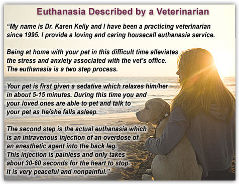 Dog Euthanasia, Dog R.I.P, How to deal with Dog Loss, Virtual Dog Memorials