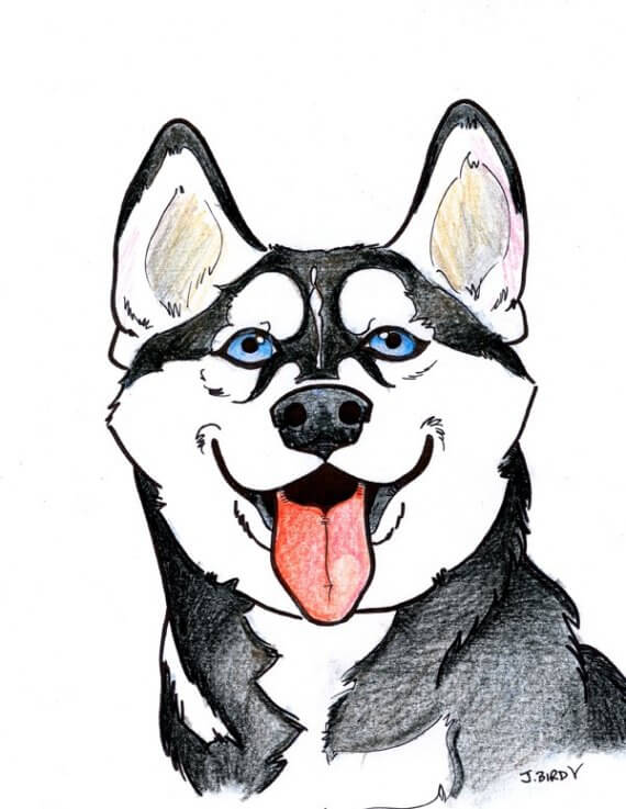 DOG ART, DRAWINGS, PAINT, Dogicature (c) by J.Bird