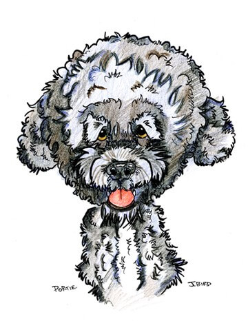 DOG ART, DRAWINGS, PAINT, Dogicature (c) by J.Bird