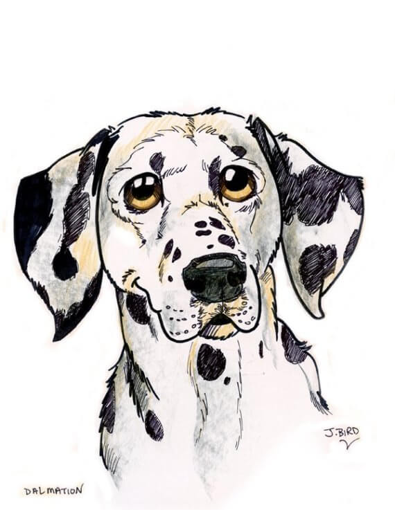 DOG ART, DRAWINGS, PAINT, Dogicature (c) by J.Bird