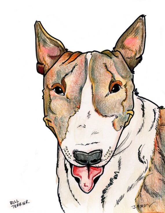 DOG ART, DRAWINGS, PAINT, Dogicature (c) by J.Bird